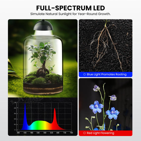 Xyingshine all-in-one terrarium kit includes light and setup guide.