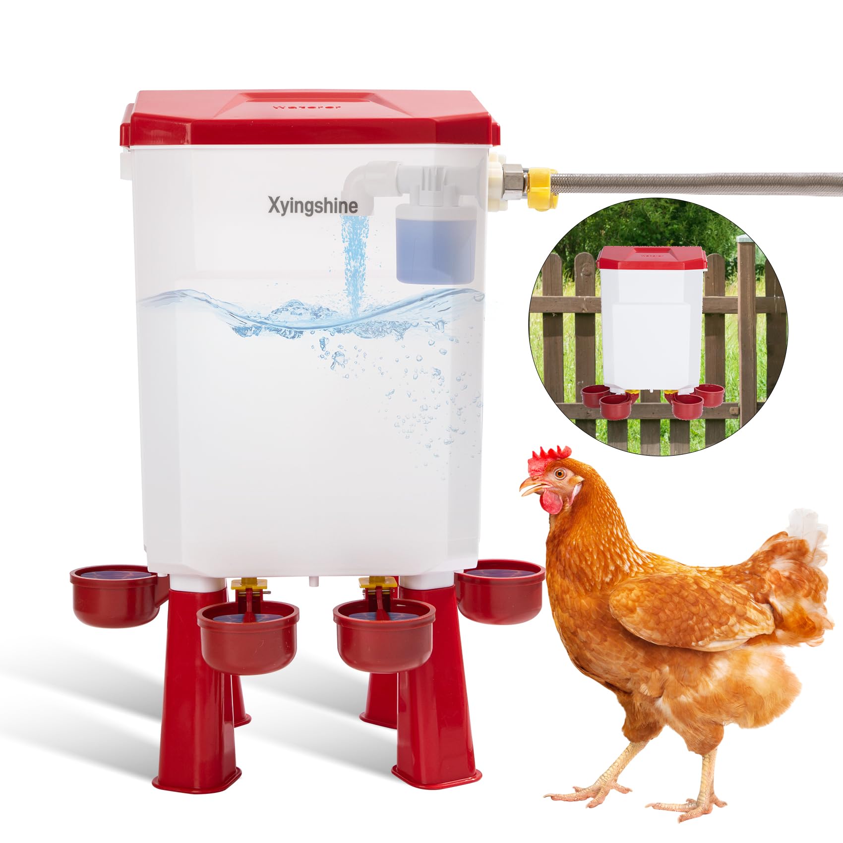 Xyingshine float automatic chicken drinker delivers consistent water with minimal effort.