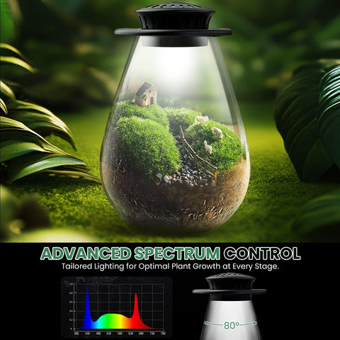 Xyingshine borosilicate glass close-up showing clarity and color in miniature display.
