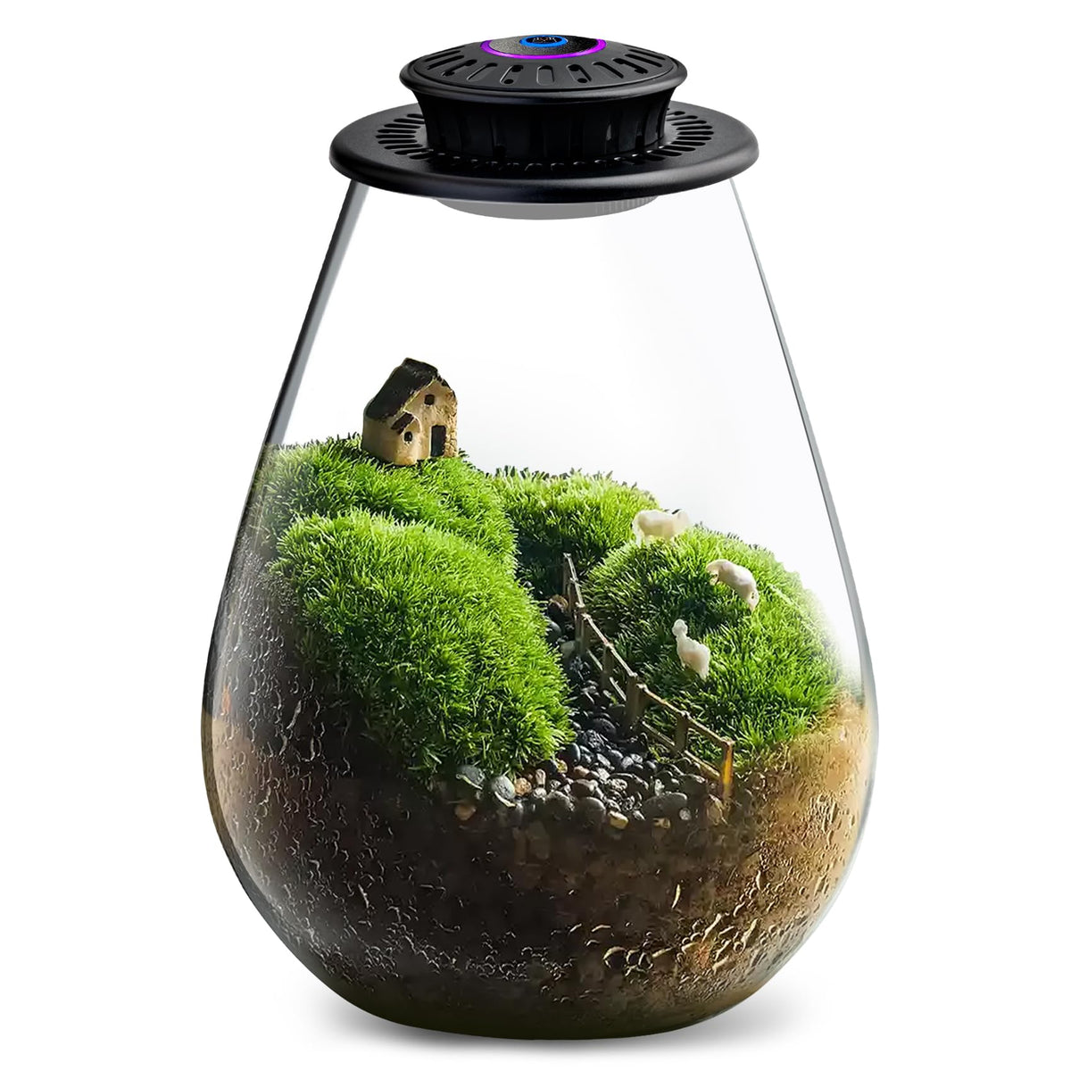 Xyingshine glass terrarium front view, a sleek desk centerpiece for plants.
