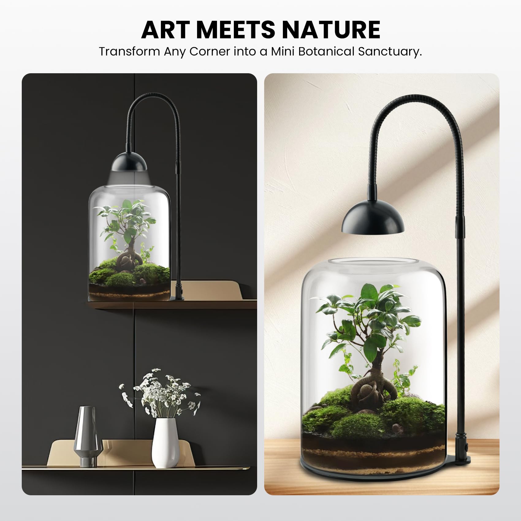 Xyingshine moss and succulents thrive in a compact desktop display.