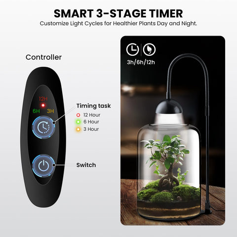 Xyingshine ventilation feature helps maintain balanced humidity for delicate plants.