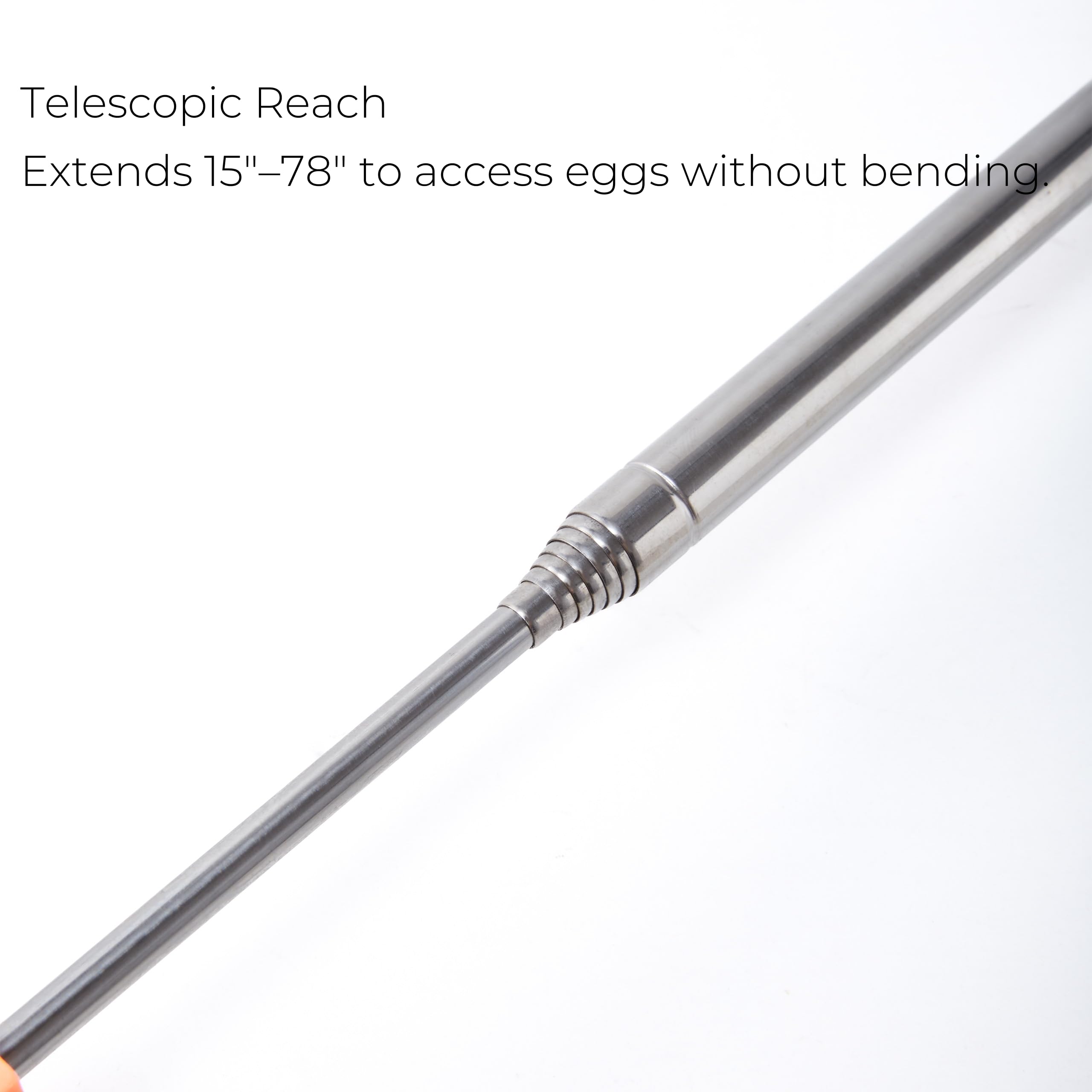 Xylarnoveth Egg Grabber collapses for compact storage.