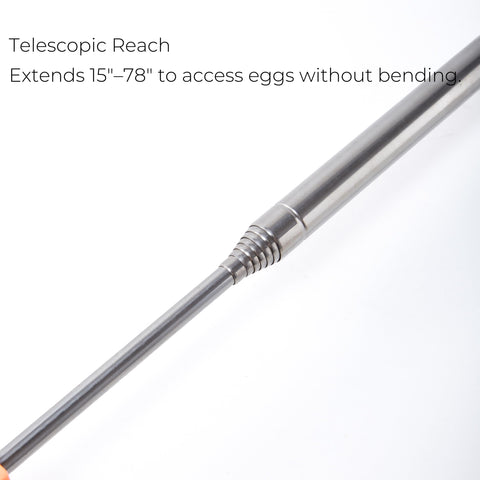 Xylarnoveth Egg Grabber collapses for compact storage.