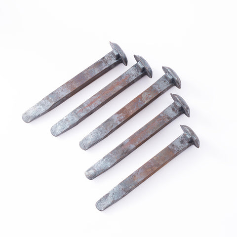 Xylarnoveth railroad spikes close-up detail emphasizing durable construction.