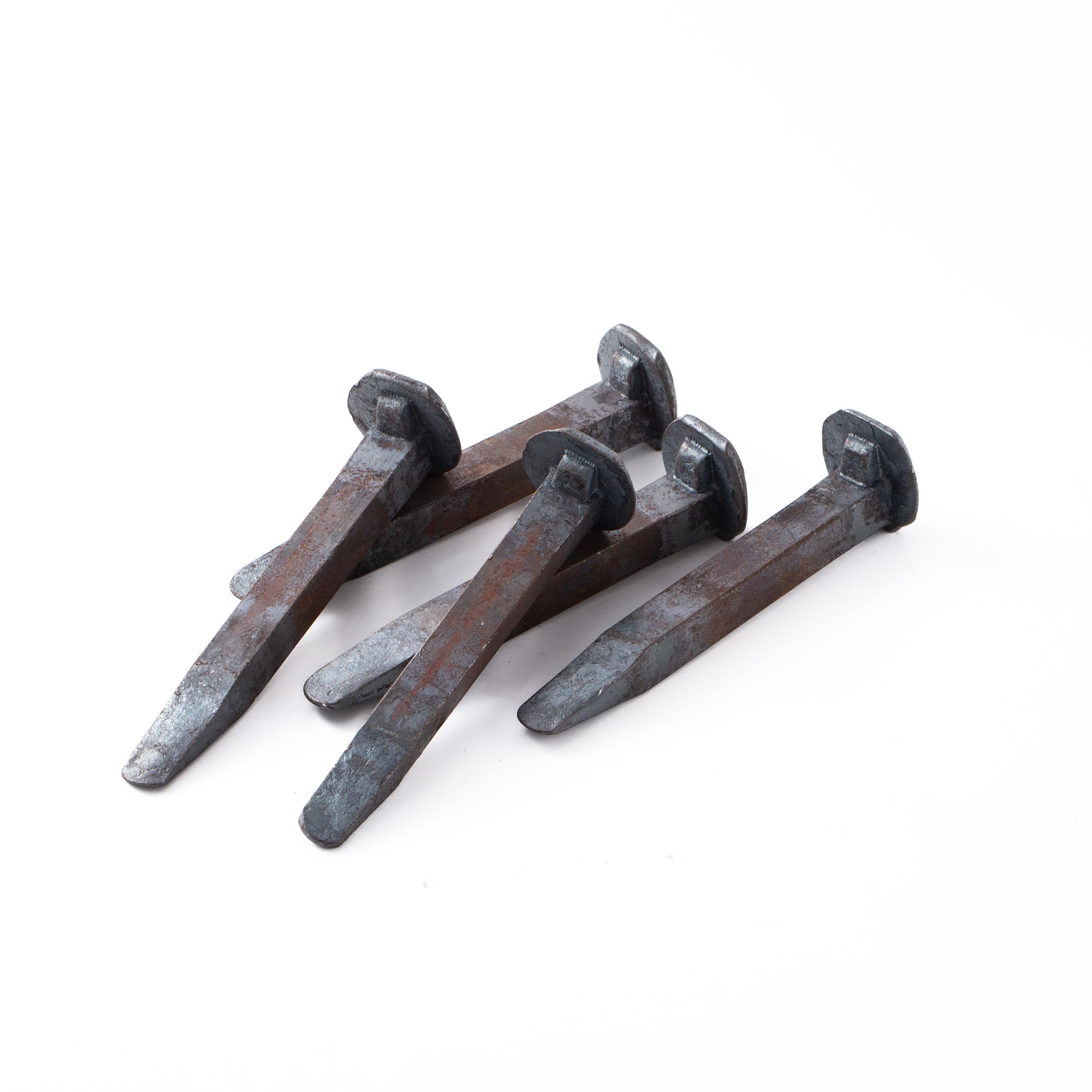 Xylarnoveth railroad spikes demonstrating standard 5.5-inch size for projects.