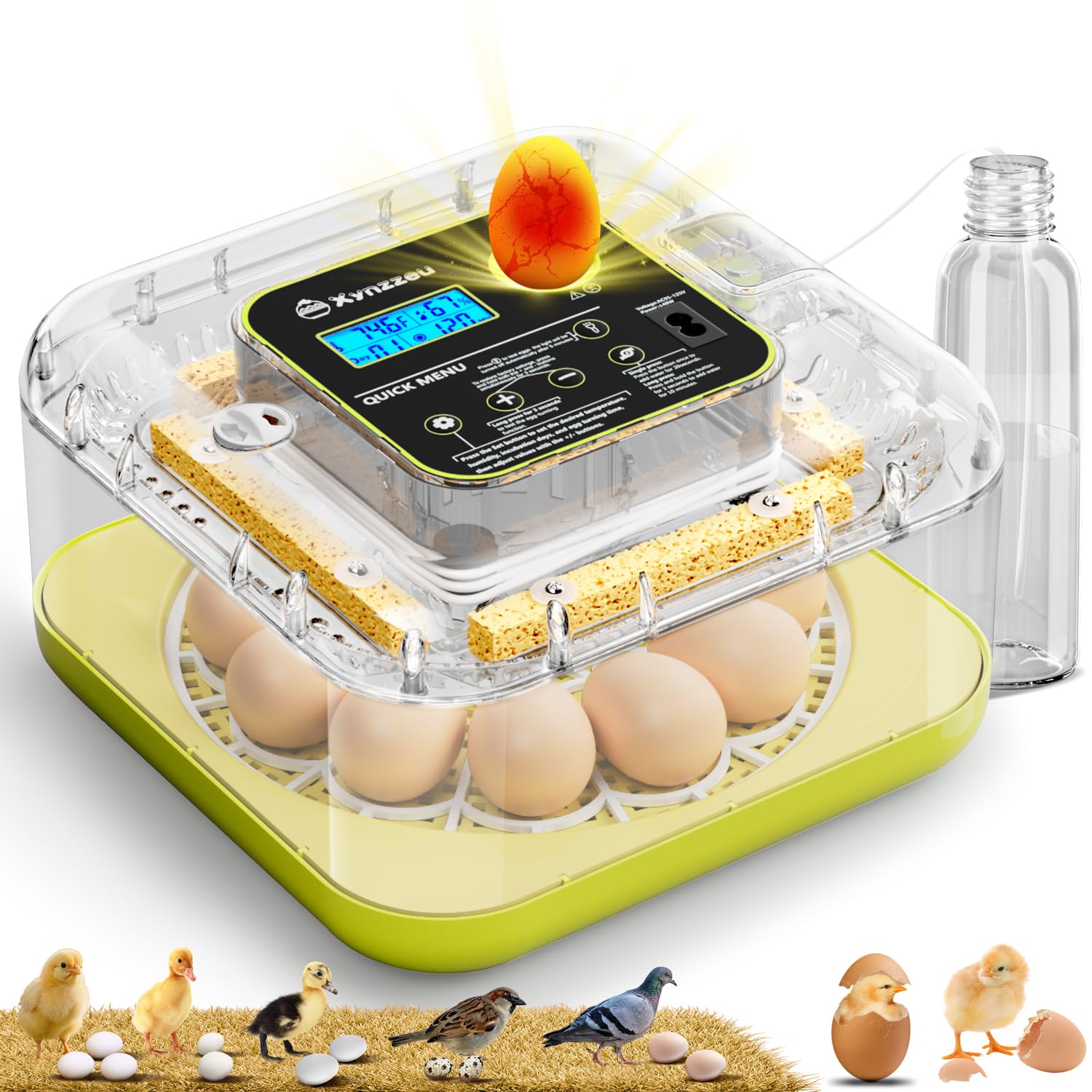 Xynzzeu egg incubator 360-degree view for full access and inspection
