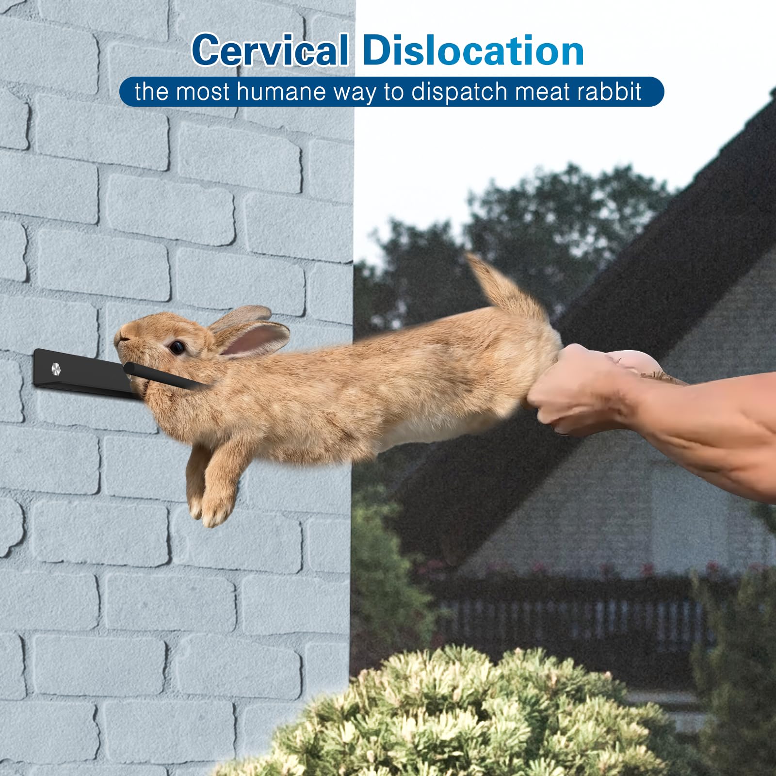 Xyrofta dislocator skinning tool set provides clean processing for rabbits and small game.