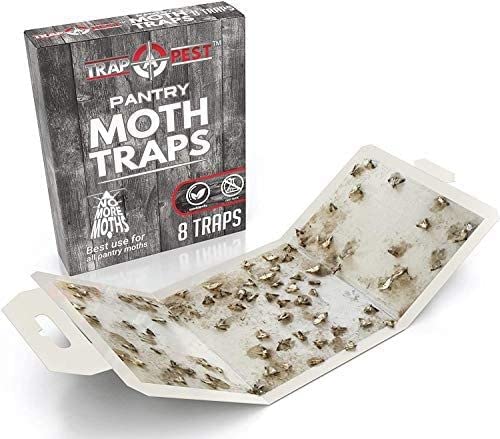 YABULI glue traps placed in pantry for easy, mess-free setup