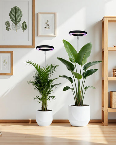Yadoker low-voltage 5V design ensures safe indoor use