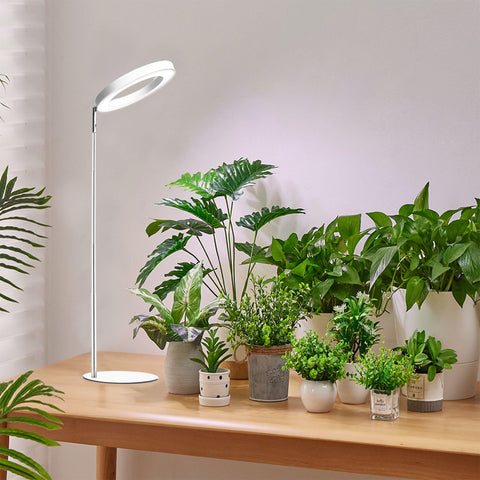 Yadoker 72-LED full-spectrum grow light on desk supporting healthy indoor herbs.