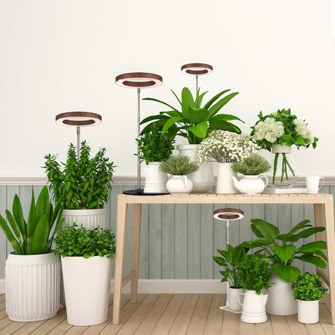 Yadoker black base complements modern desks while brightening indoor greens.