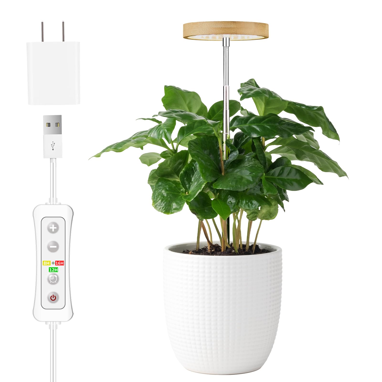 Yadoker bamboo mini LED grow light on a desk powering herbs