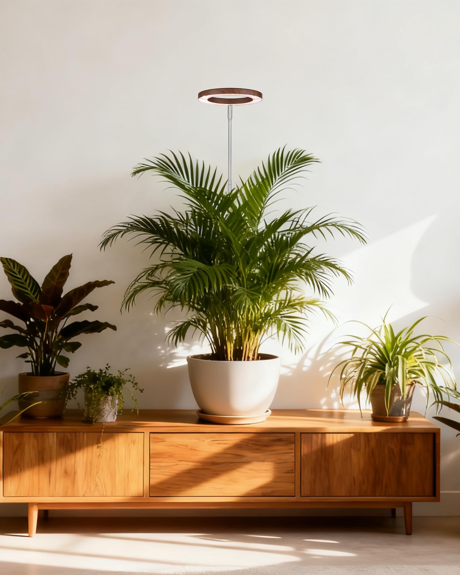Yadoker auto timer with dimming offers convenient scheduling and adjustable brightness.