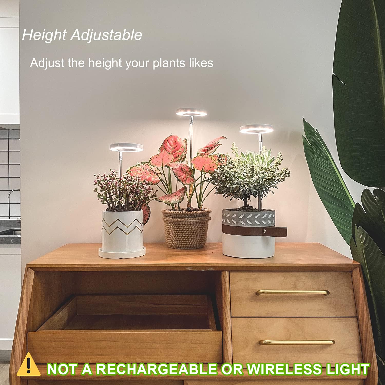 yadoker Grow Light with built-in timer for convenient plant care.