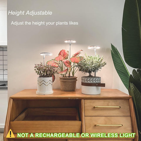 yadoker Grow Light with built-in timer for convenient plant care.