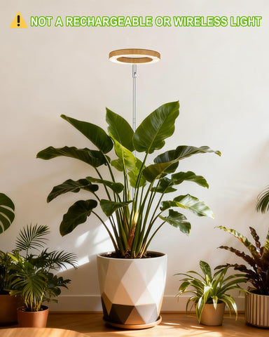 Yadoker grow light height-adjustment setup shown for tall plant growth