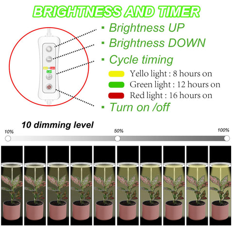 Yadoker light with telescopic height adjustment over thriving herbs.