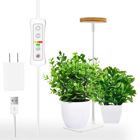 Yadoker Halo on desk grow light promoting healthy indoor plant growth