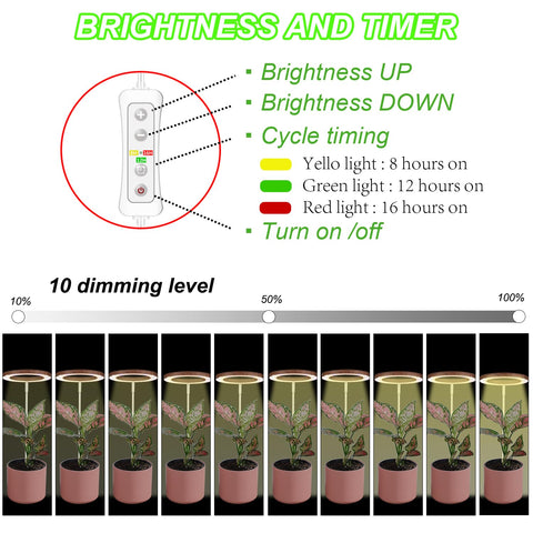 Yadoker height-adjustable stand supports multiple plants with precise light positioning