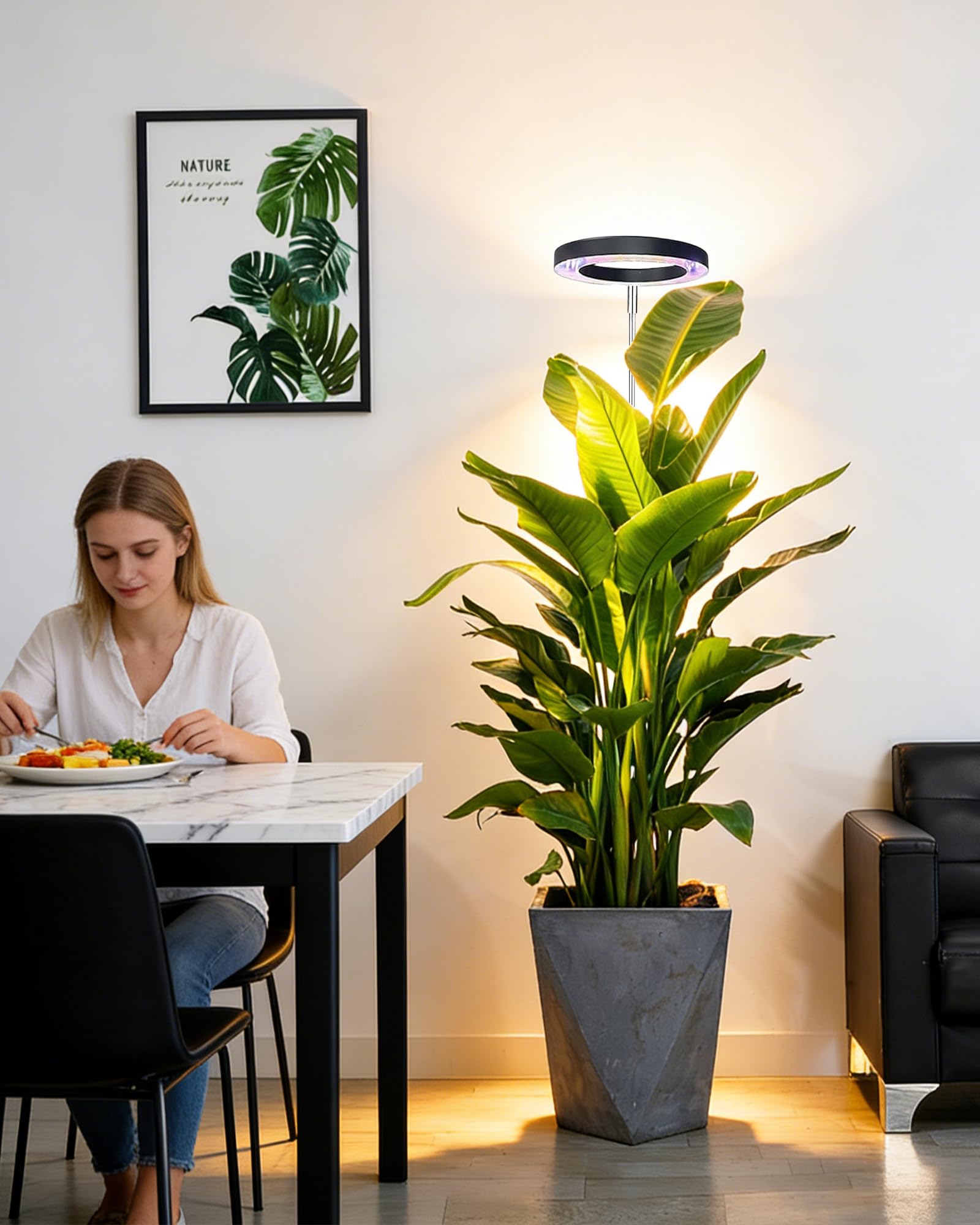 Yadoker light casting broad coverage on multiple houseplants