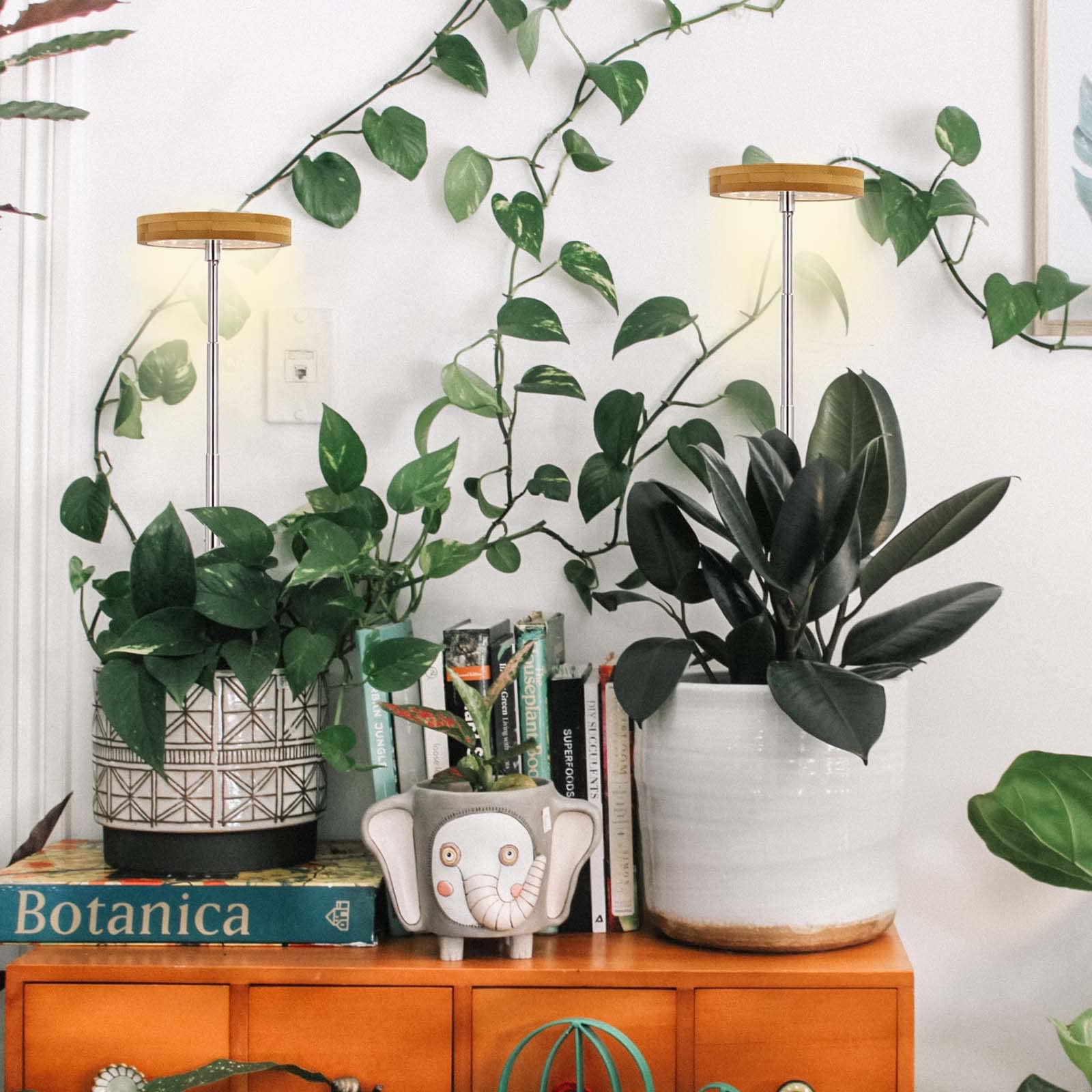 Yadoker light supports herbs, succulents, and other small plants