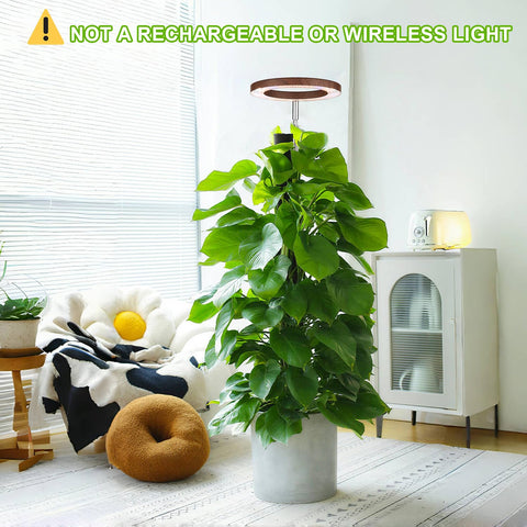 Yadoker full-spectrum LED supports growth stages for indoor plants
