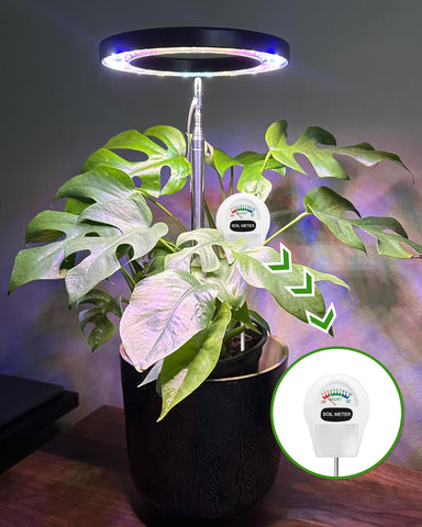 Yadoker plant grow light height adjustment lets you raise or lower for optimal reach
