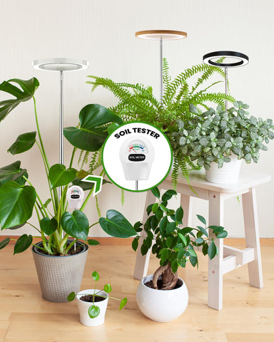 Yadoker grow light provides wide coverage for multiple indoor plants