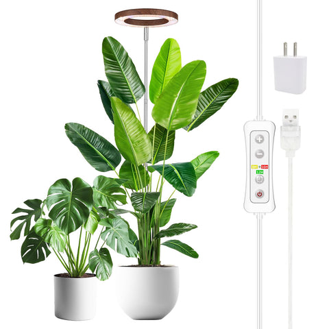 Yadoker Plant Grow Light with wood-look walnut boosts tall indoor plant growth at home