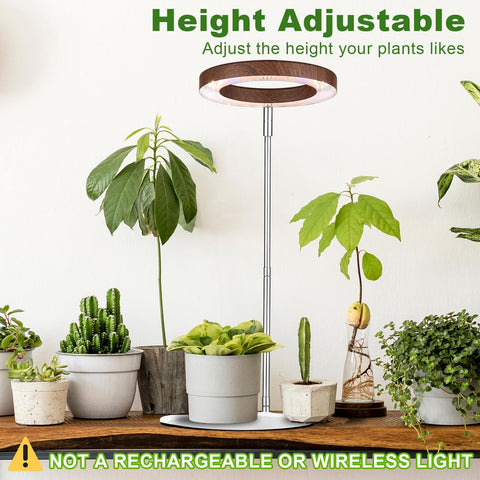 Yadoker walnut wood grain base supports indoor plants with style.