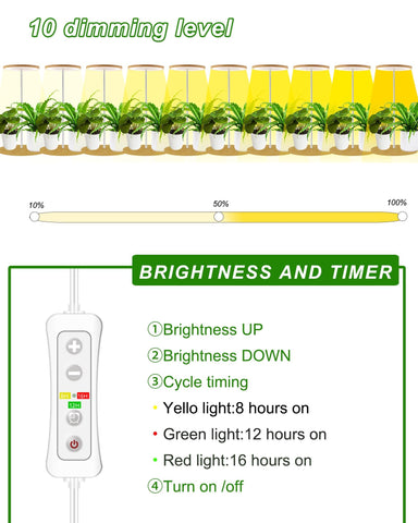 Yadoker warm-white LEDs deliver natural illumination for thriving foliage.