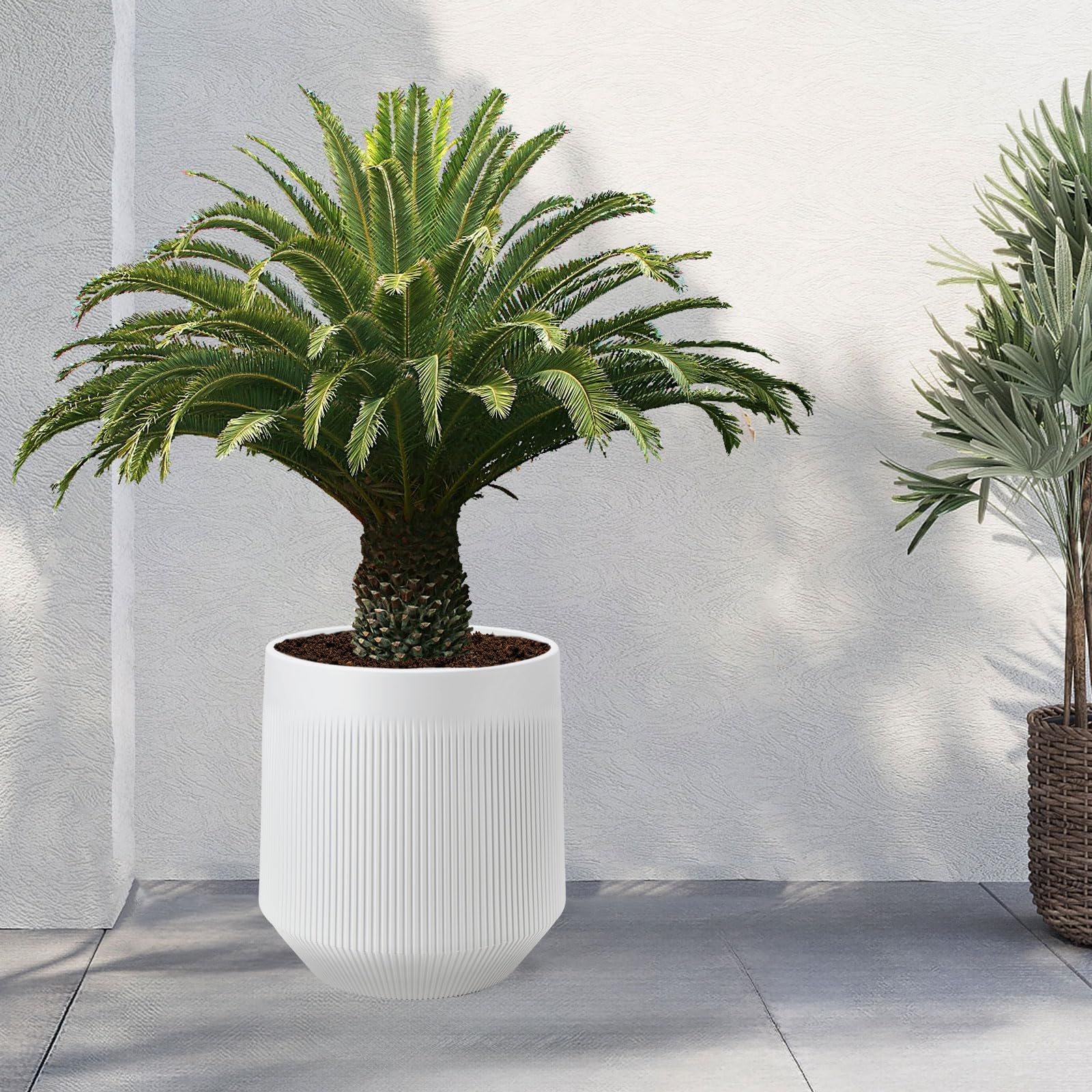Yaghpy gift-ready packaging makes a thoughtful plant lovers gift.