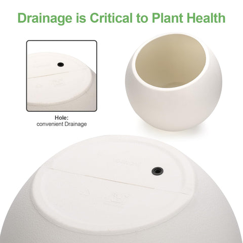 Drainage hole on Yaghpy planter helps prevent overwatering for healthy plants.