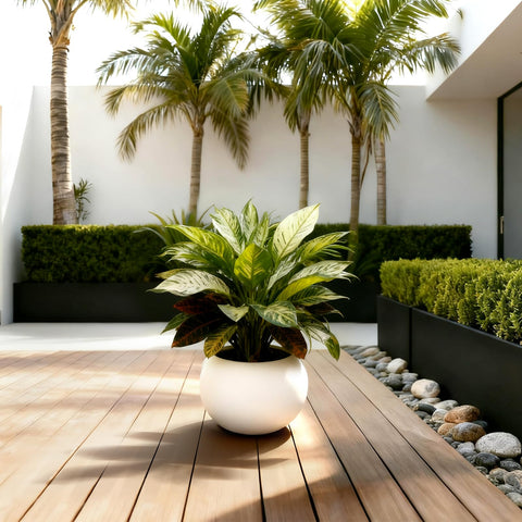 Yaghpy planter includes rubber plug for drainage control.