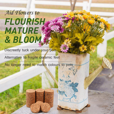 Yalikop wooden pot risers provide gentle drainage elevation for plants.