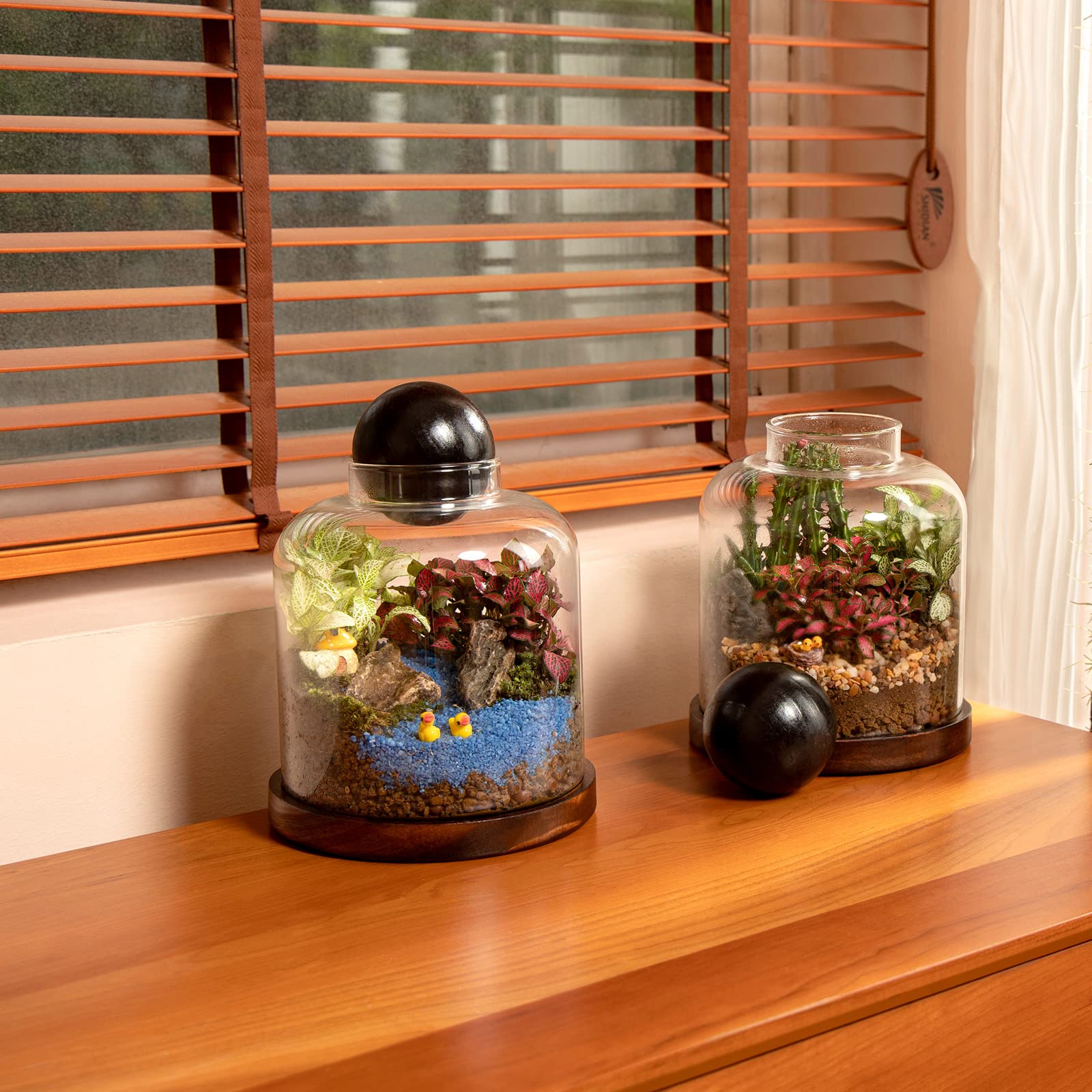 Yangbaga miniature goldfish bowl inside creates a focal point