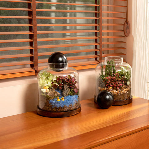 Yangbaga miniature goldfish bowl inside creates a focal point