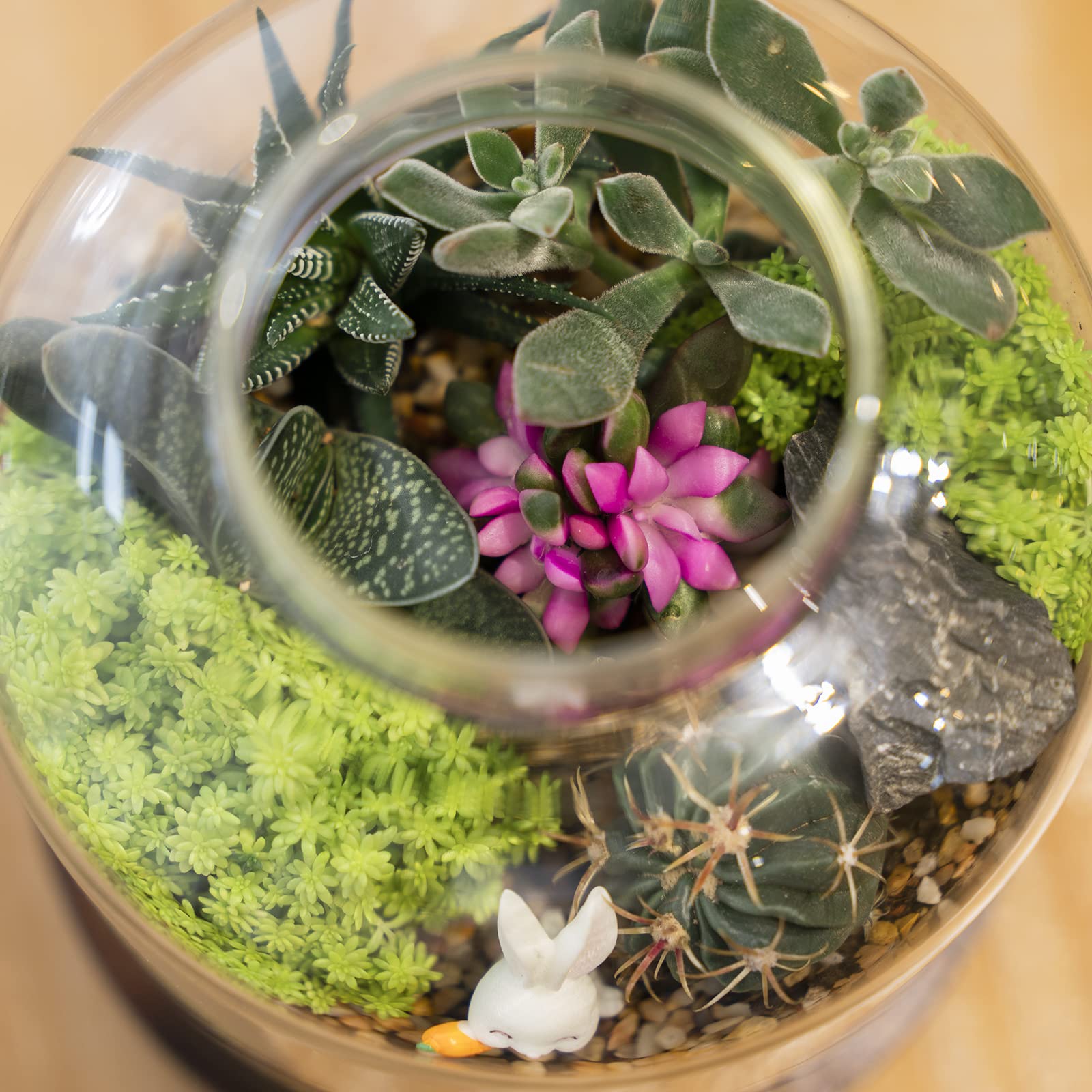 Yangbaga terrarium ball lid helps maintain humidity for displays