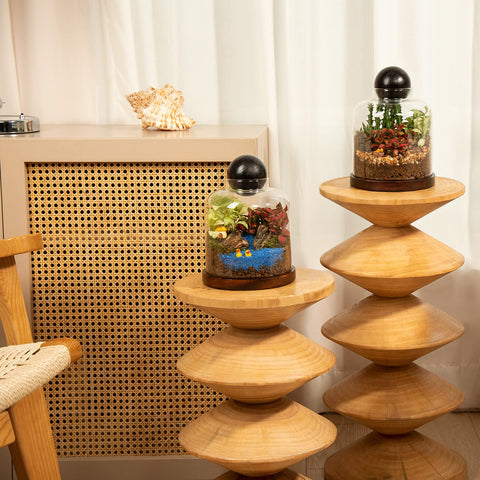 Yangbaga terrarium as a centerpiece for weddings and offices