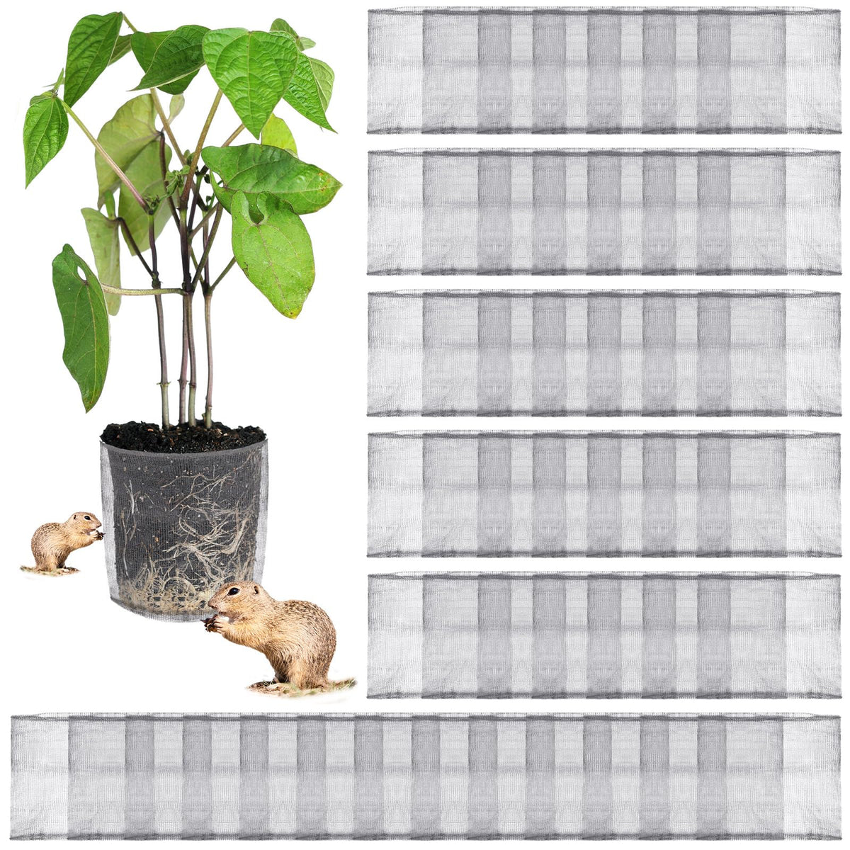 Yaocom 50-piece gopher baskets in stainless steel protect plant roots underground
