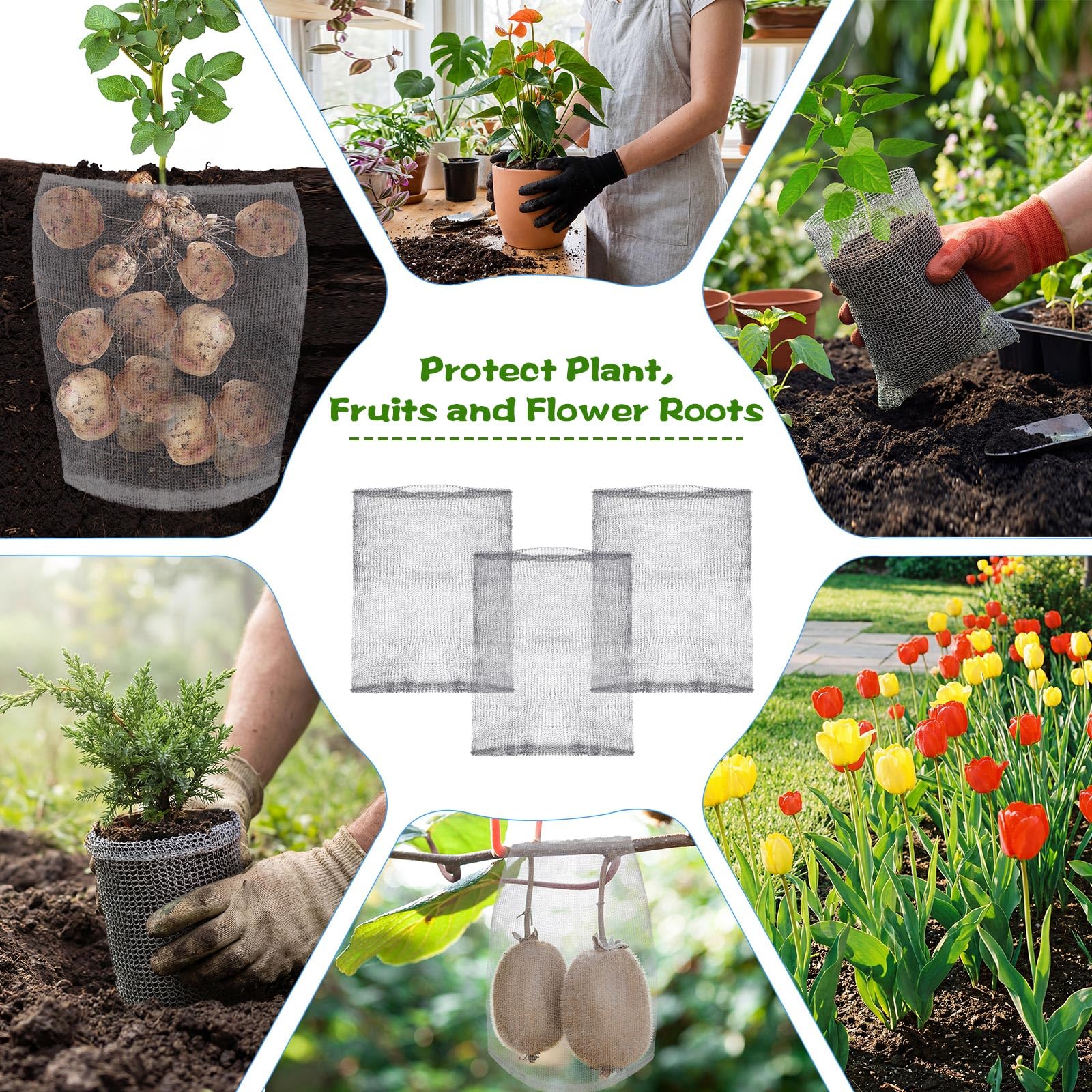 Yaocom gopher basket supports tomatoes, peppers and small vegetables