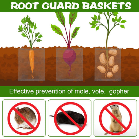 Yaocom stainless steel mesh guards tomatoes, peppers, and roses from burrowing pests