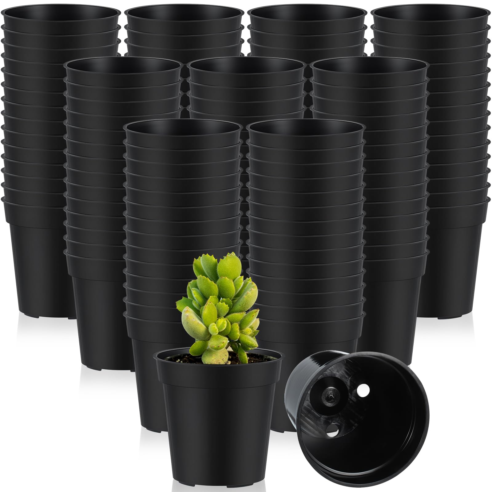 Yaomiao 2 inch mini pot with drainage holes promotes healthy seedling roots.