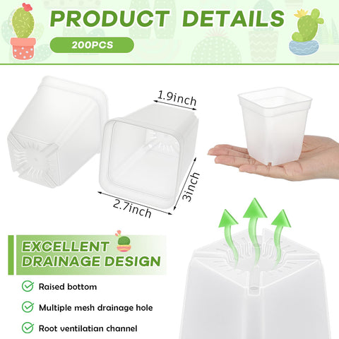 Yaomiao 3-inch clear square pot side view ideal for compact spaces