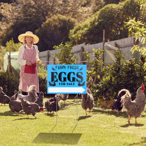 Yaomiao arrow signs guide customers toward your eggs for sale.