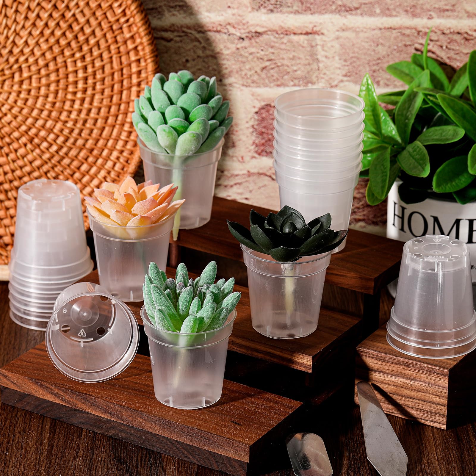 Yaomiao clear seedling pots for indoors and outdoors, ideal for seed starting.