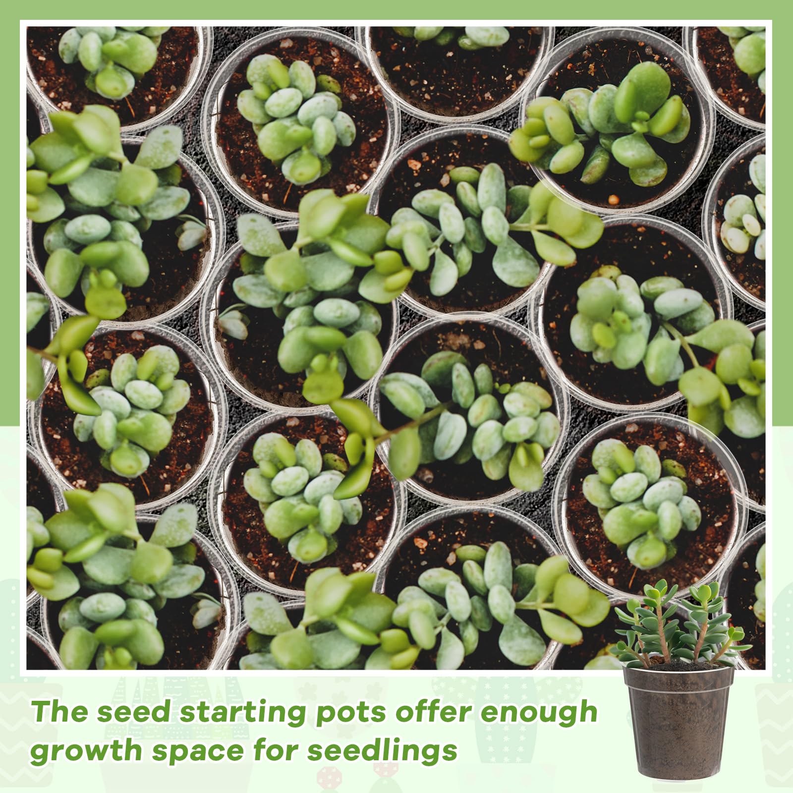 Yaomiao compact balcony garden pots perfect for space-saving seedling care.