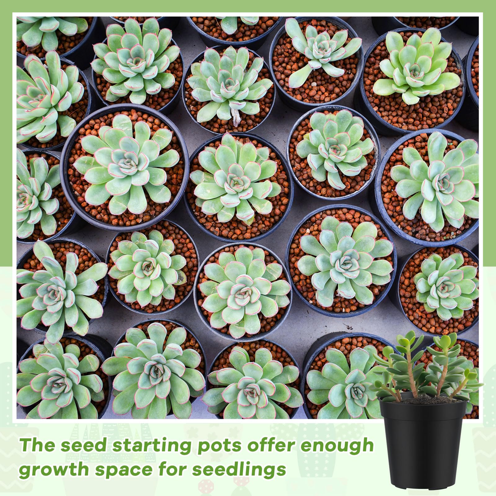 Yaomiao durable plastic pots with raised rims for easy handling and reuse.