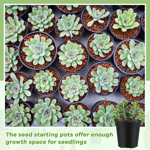 Yaomiao durable plastic pots with raised rims for easy handling and reuse.